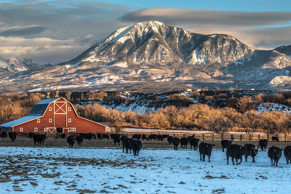 the-largest-ranches-in-texas-james-bigley-ranches