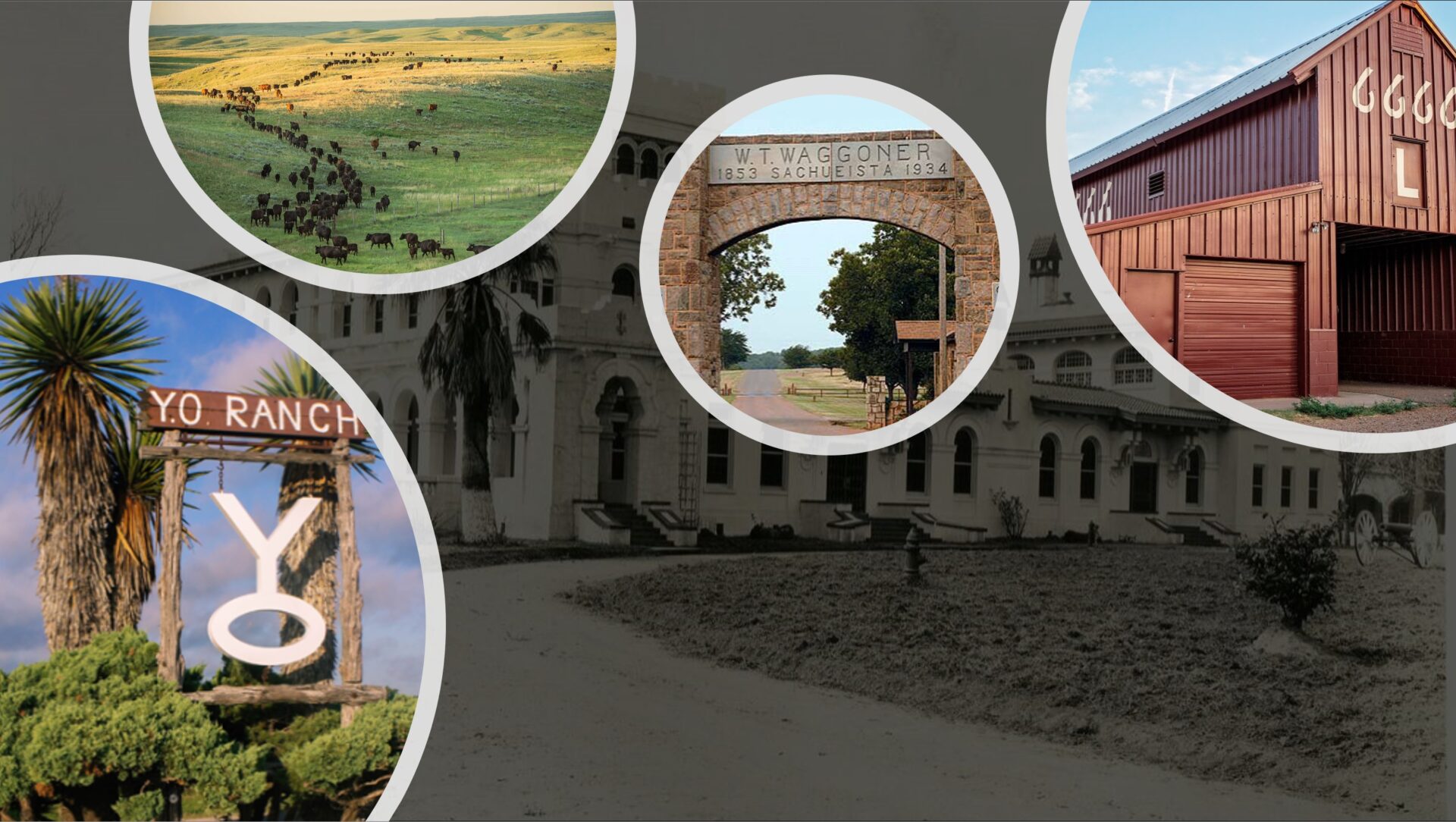 The Top Five Largest Ranches in Texas A Deep Dive into the Heart of