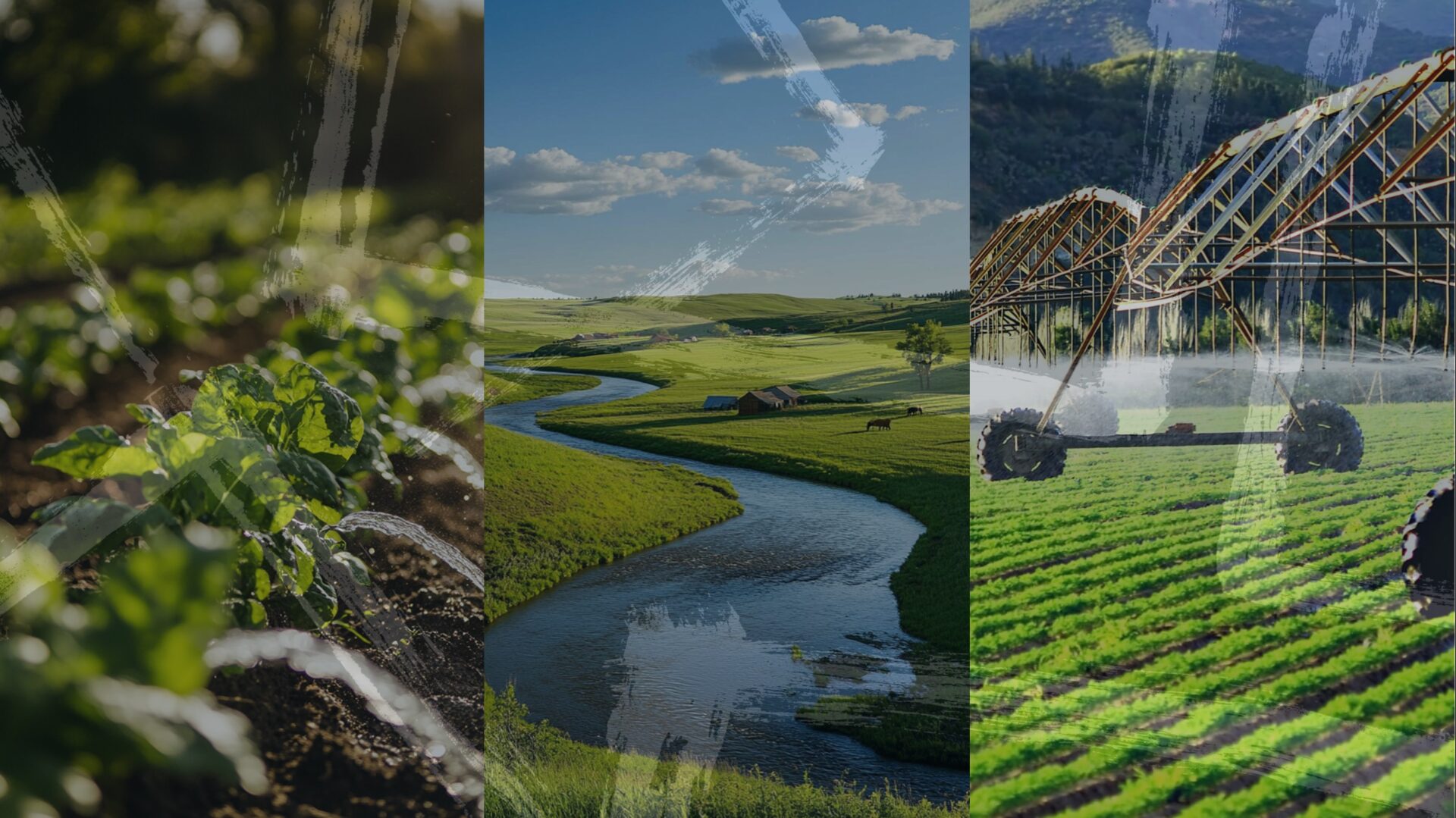 Farm Water Rights Understanding Water Rights in Ranches - James Bigley Ranches