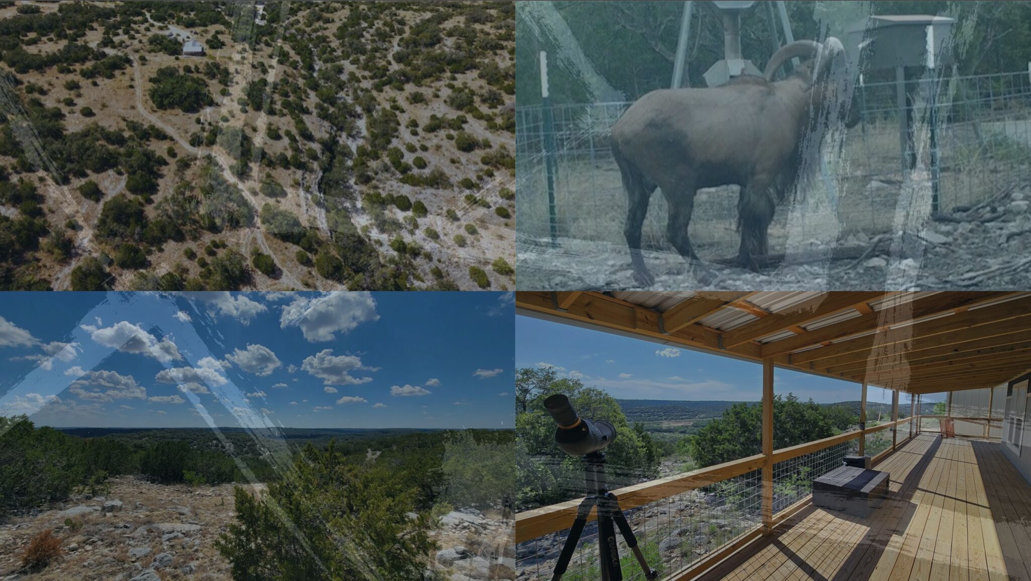 The Top Five Largest Ranches in Texas: A Deep Dive into the Heart of ...