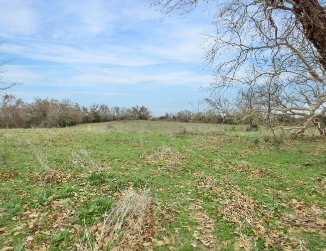 08-County Rd 358 7281 IMG 08