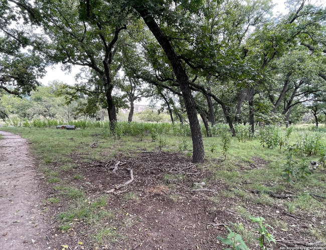 0a0e2fbf7eabd07283d26f67caa7a6ab-uncropped_scaled_within_1536_1152