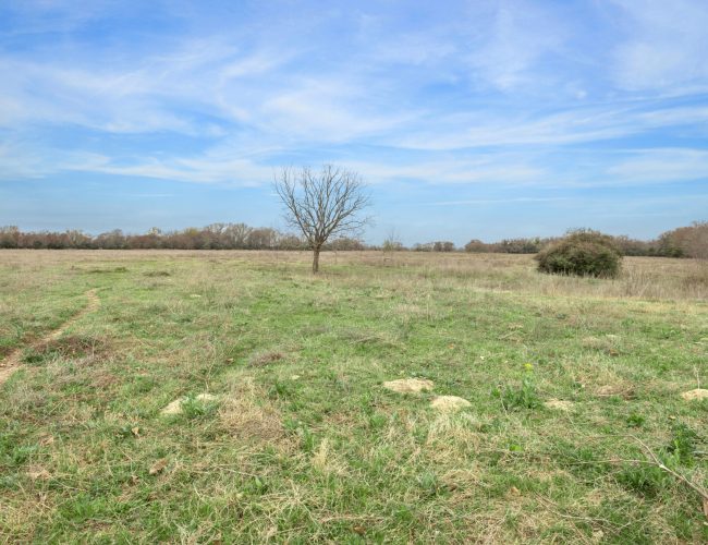 10-County Rd 358 7281 IMG 10