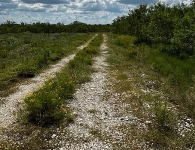 100G acres 1