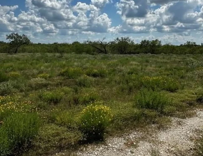 100G acres 2