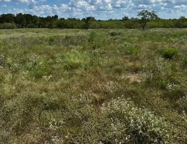 100G acres 5