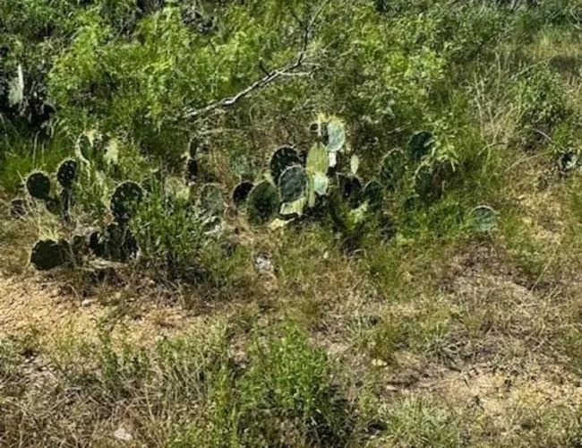 100G acres 7
