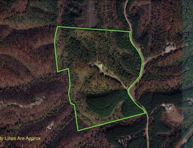 By submitting this image to Realtracs Inc, the User grants to Realtracs Inc an unrestricted license to use the image in compilations of properties and in other ways authorized by the Board of Directors.