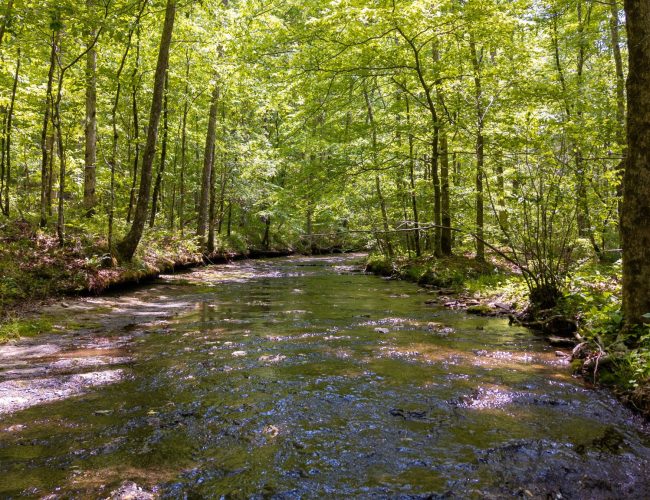 By submitting this image to Realtracs Inc, the User grants to Realtracs Inc an unrestricted license to use the image in compilations of properties and in other ways authorized by the Board of Directors.