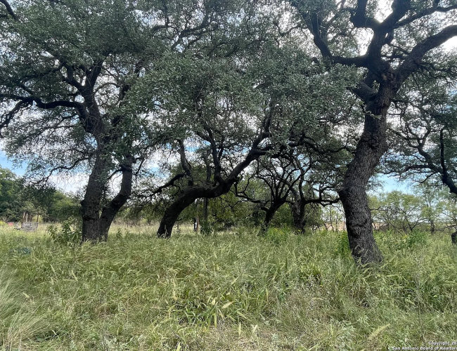 1514a568c1e5a02cc1aa12cc62df503b-uncropped_scaled_within_1536_1152