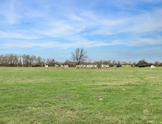 16-County Rd 358 7281 IMG 16