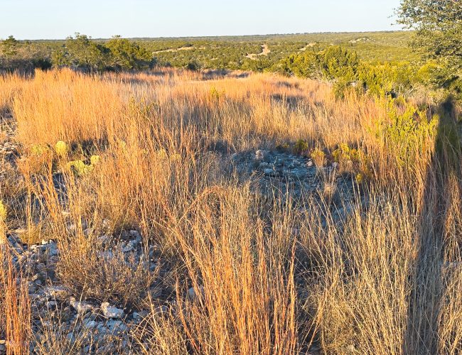 20251212_170643 - Copy