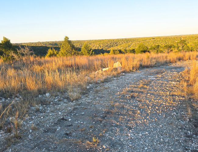 20251212_171020 - Copy