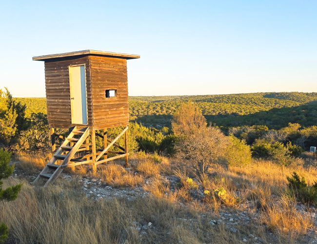 20251212_171533 - Copy