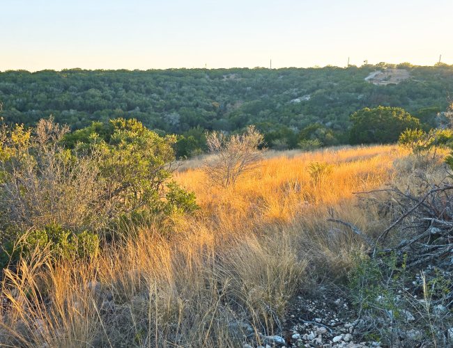 20251212_171539 - Copy