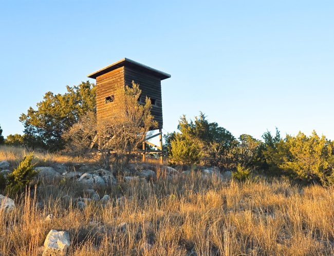 20251212_171600 - Copy