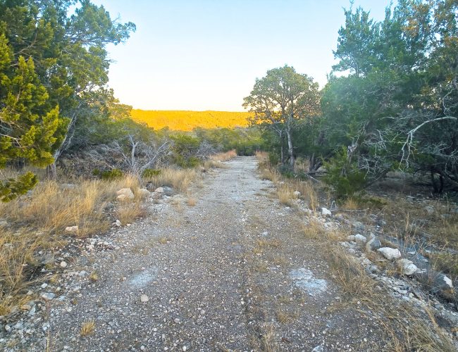 20251212_171908 - Copy