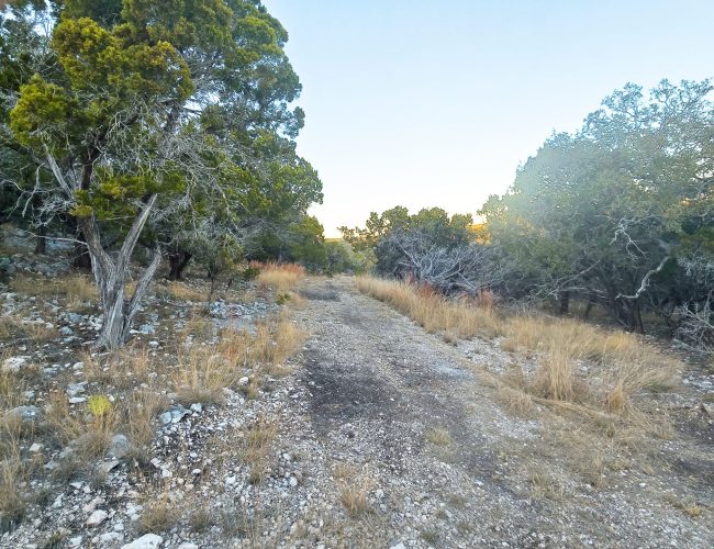 20251212_172014 - Copy