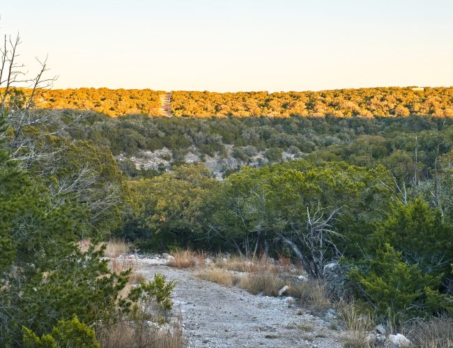 20251212_172111 - Copy