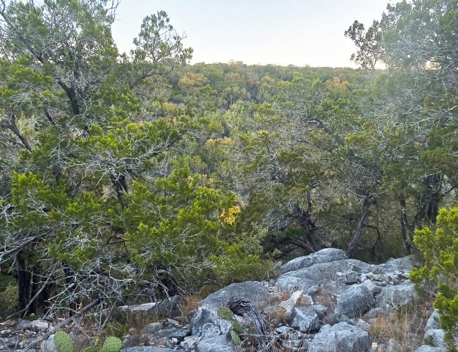 20251212_172156 - Copy