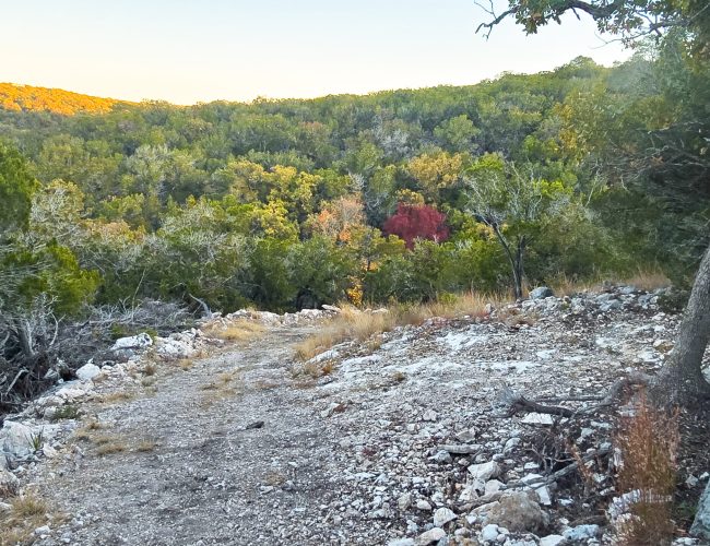 20251212_172316 - Copy