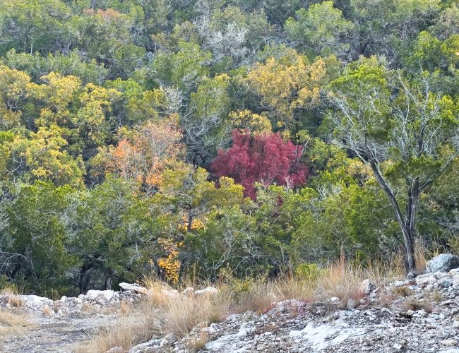 20251212_172321 - Copy