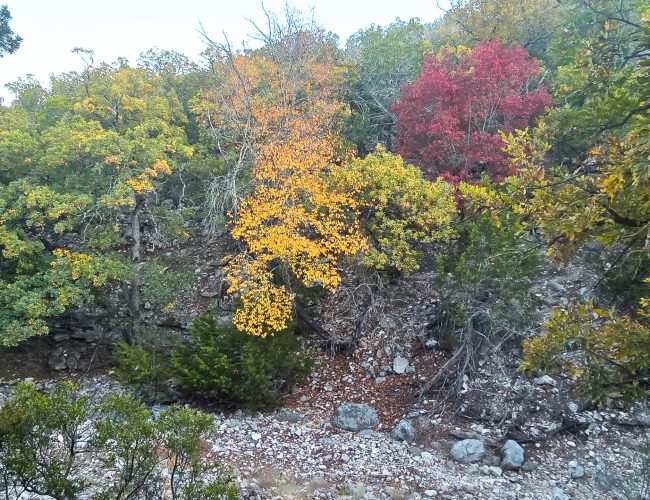 20251212_172530 - Copy