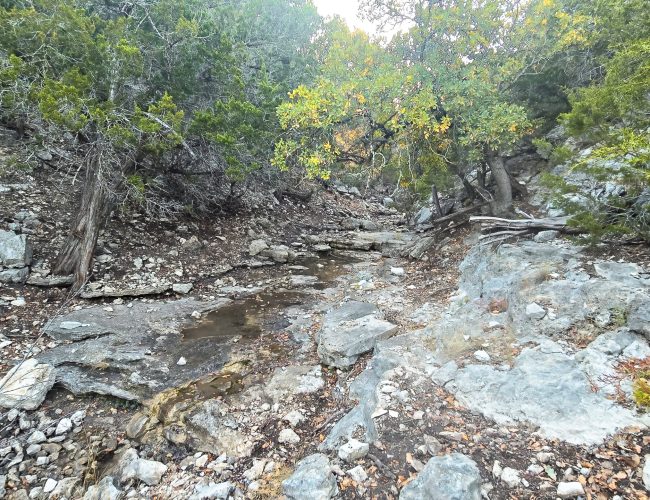 20251212_172612 - Copy