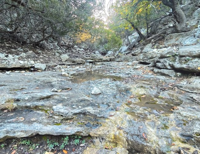 20251212_172650 - Copy