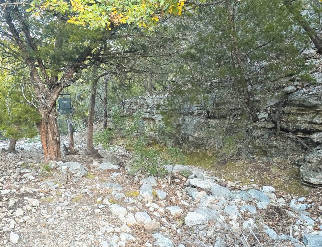 20251212_172808 - Copy