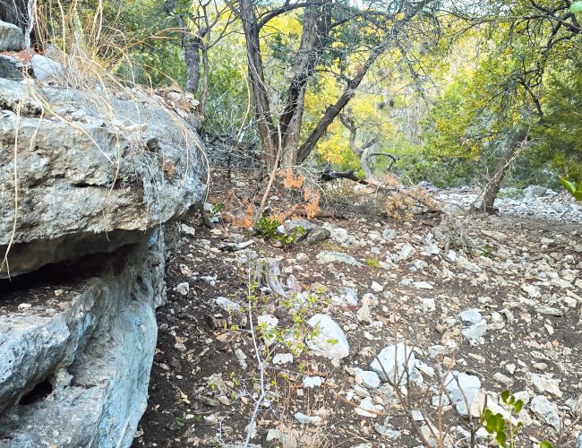 20251212_172819 - Copy