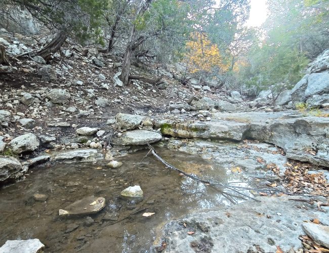 20251212_173001 - Copy