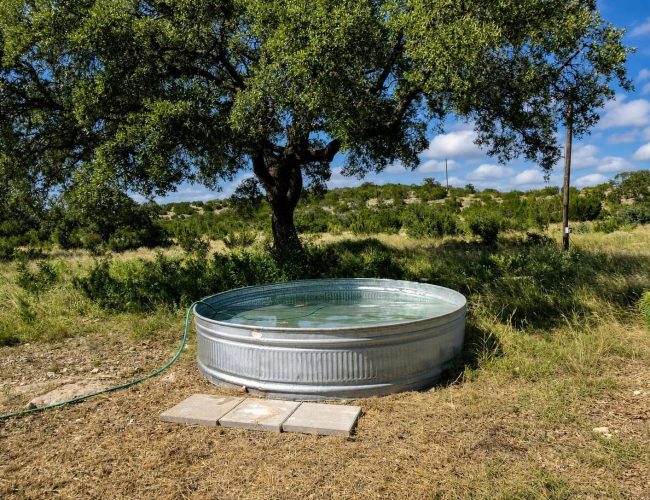 3E Ranch round water trough shaded by a large oak tree