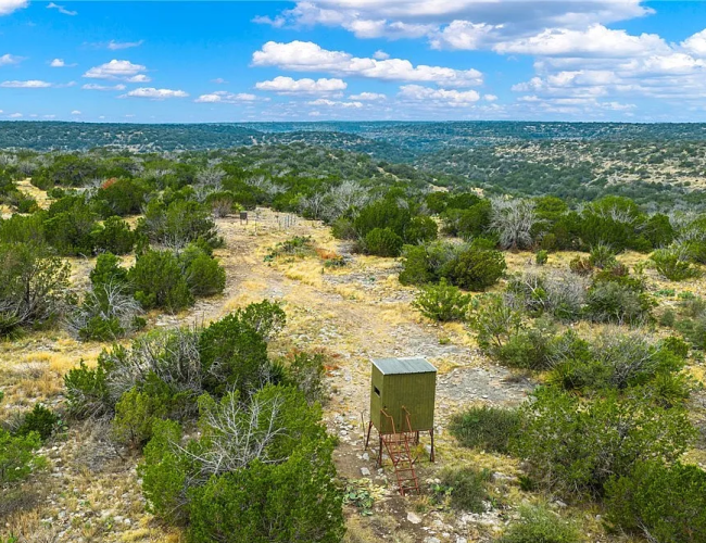 221dc9473cf080c8bf1ecdc0b8fb42ce-uncropped_scaled_within_1536_1152