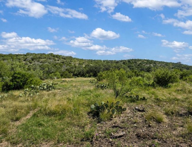 3E Ranch grassy opening with prickly pear cactus below wooded hills, Edwards County, Texas