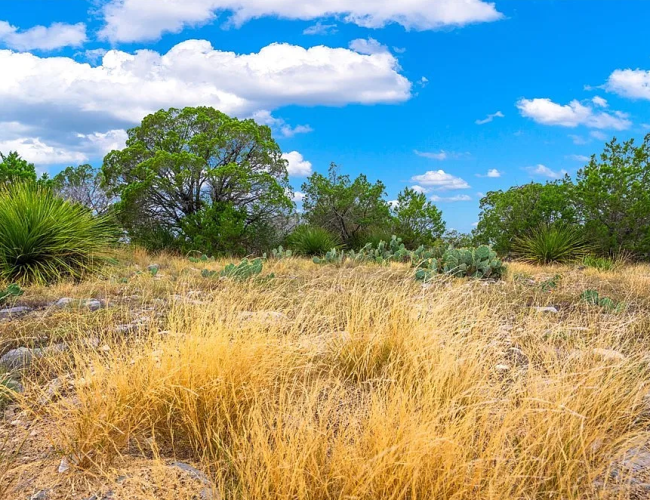 34d6c0c3c81c29b1cd4645ee06ccf98e-uncropped_scaled_within_1536_1152