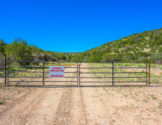 55-web-or-mls-DSC04300