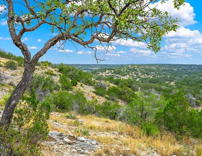 56e574cf0a4c4e200e9f3798e0963912-uncropped_scaled_within_1536_1152