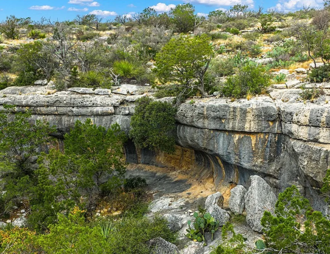 63d91a13acf59ab4f2d096d3b9344b5e-uncropped_scaled_within_1536_1152