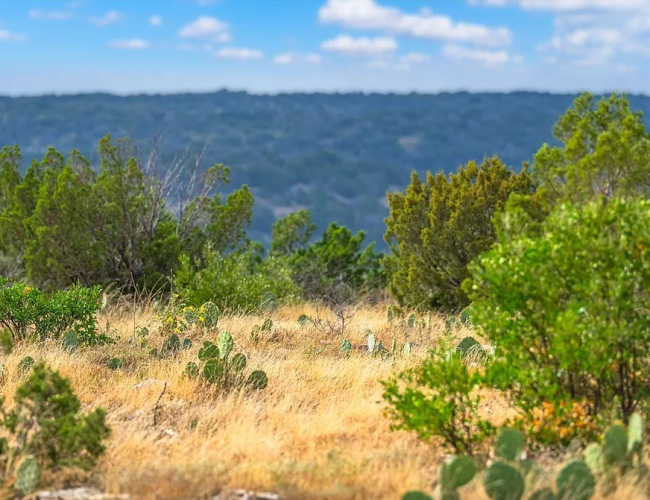 82894b4ef63730e8db2466863cd02d3d-uncropped_scaled_within_1536_1152