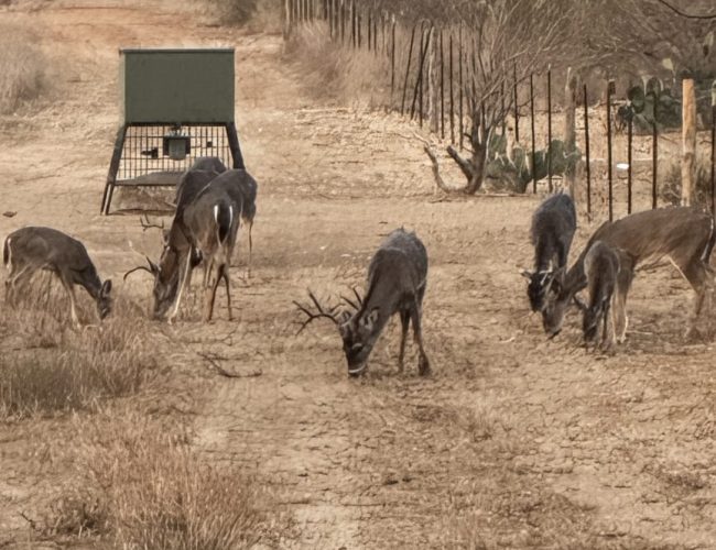 91e20121-a775-4670-b715-5031fd3e894b