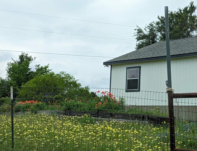 PXL_20230424_165112834