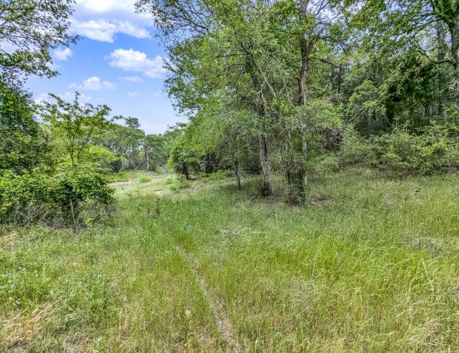 PXL_20250419_154230336