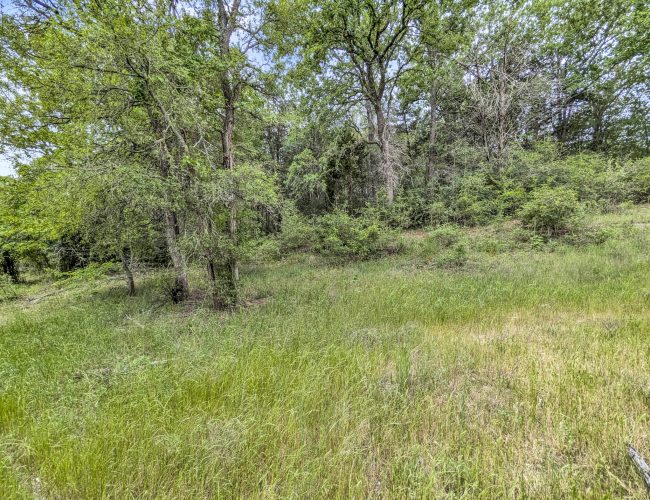 PXL_20250419_154231751