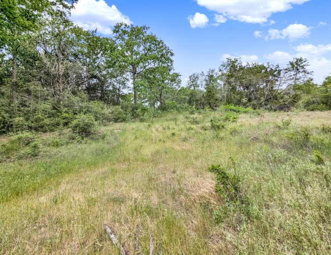 PXL_20250419_154234757~2