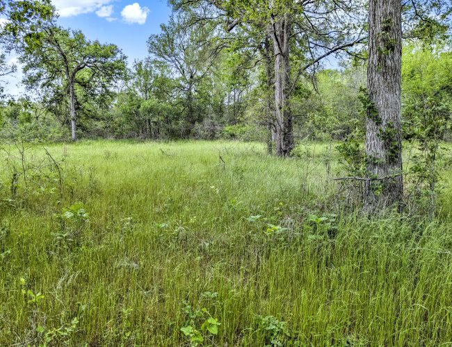 PXL_20250419_155608021