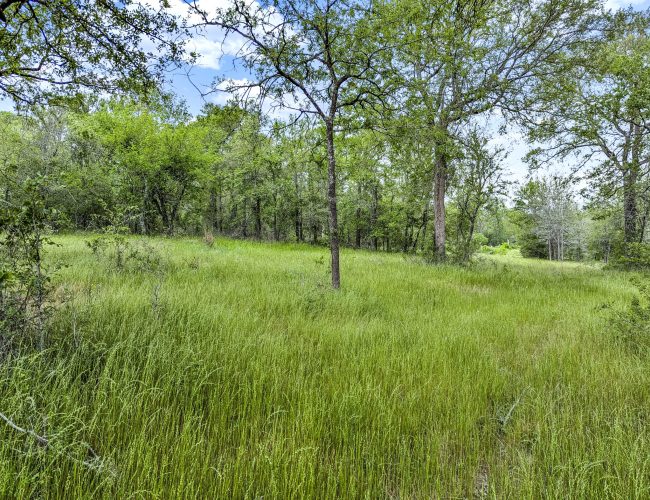 PXL_20250419_155612601