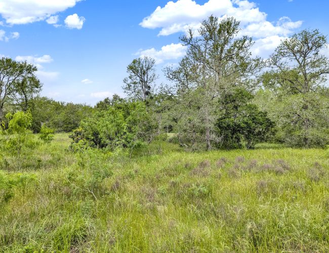 PXL_20250419_155928593