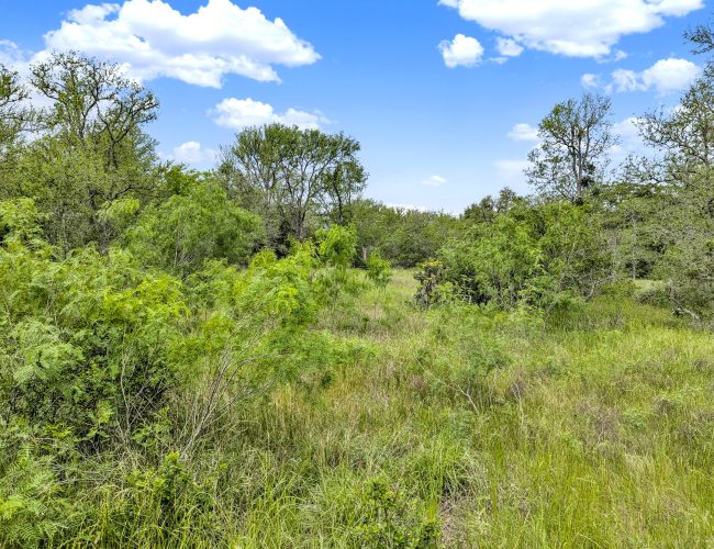 PXL_20250419_155930258