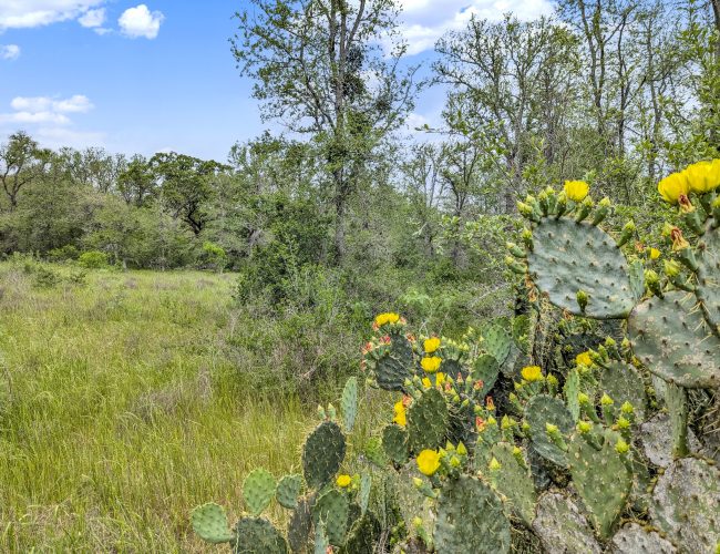 PXL_20250419_160116642